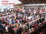 19 IMG_2516.jpg